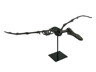 Zeckos Museum Mounted Pterosaur Flying Dinosaur Fossil Replica Statue