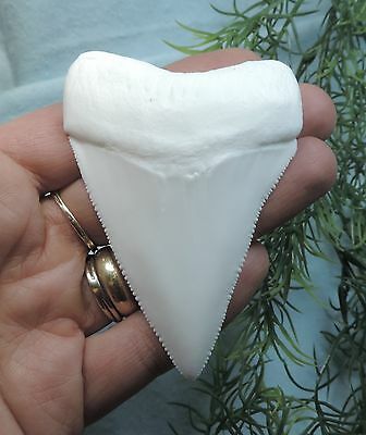 HUGE 3 3/8'' GREAT WHITE TOOTH REPLICA/ MEGALODON FOSSIL SHARKS TOOTH TEETH