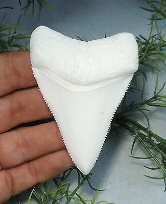 SUPER SERRATED 3'' GREAT WHITE SHARK TOOTH REPLICA/MEGALODON TOOTH