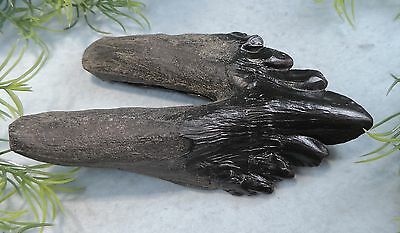 NICE 4 1/4'' LONG ARCHAEOCETE WHALE TOOTH REPLICA  FOSSIL MAMMAL