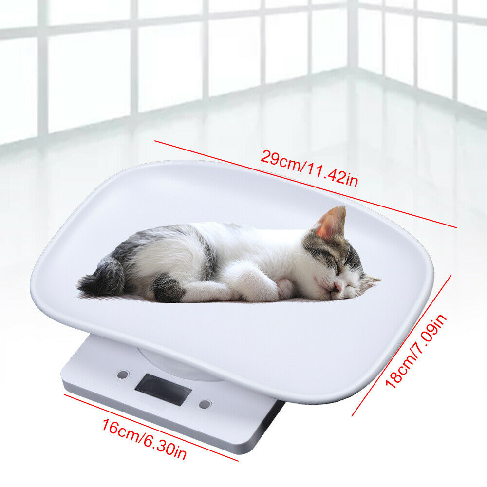Mail Parcel Scale Lcd Digital Puppy Weighing Clearer Reading Portable White Usa